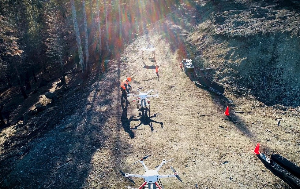 Drones para recuperar bosques